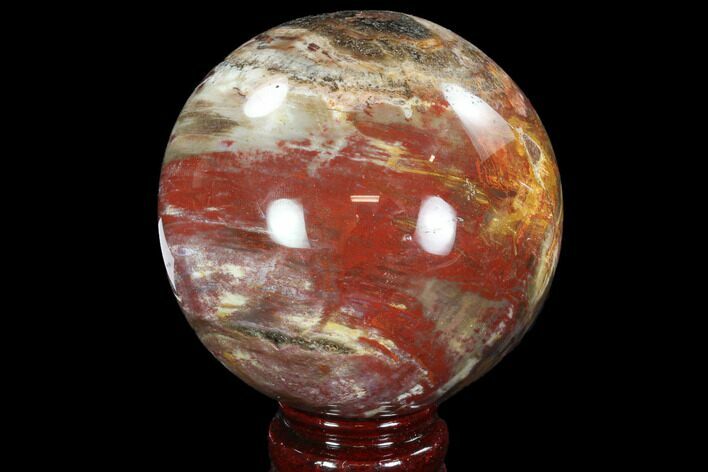 Colorful Petrified Wood Sphere - Madagascar #92401
